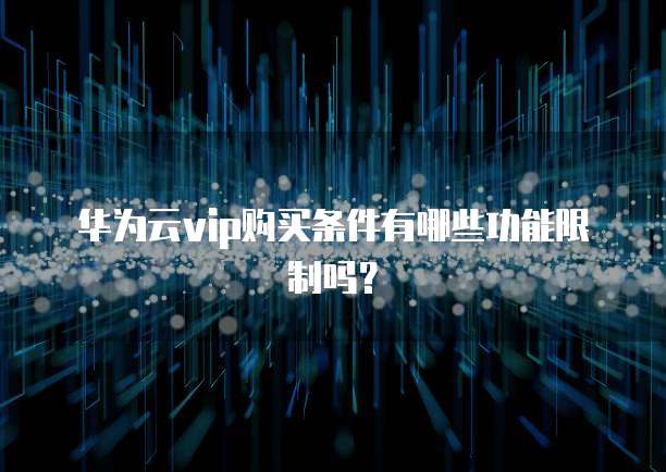 华为云vip购买条件有哪些功能限制吗?