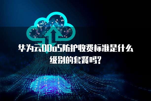 华为云DDoS防护收费标准是什么级别的套餐吗?