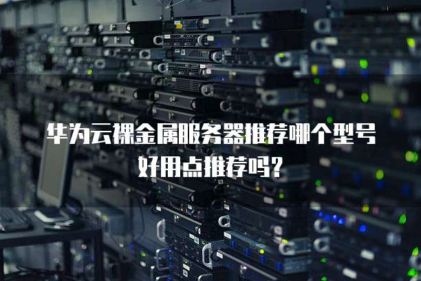华为云裸金属服务器推荐哪个型号好用点推荐吗?