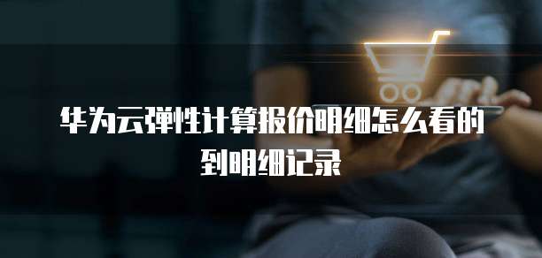华为云弹性计算报价明细怎么看的到明细记录