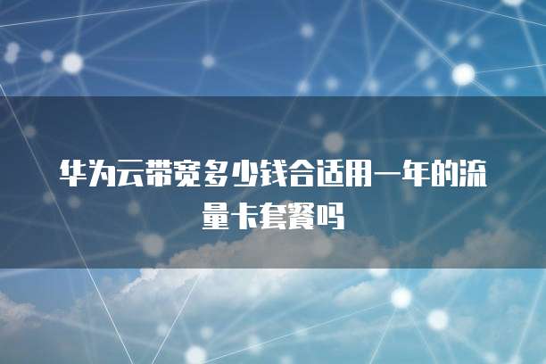 华为云带宽多少钱合适用一年的流量卡套餐吗