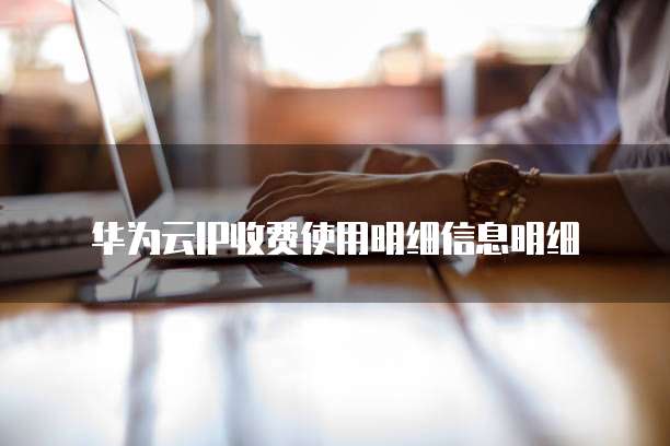 华为云IP收费使用明细信息明细