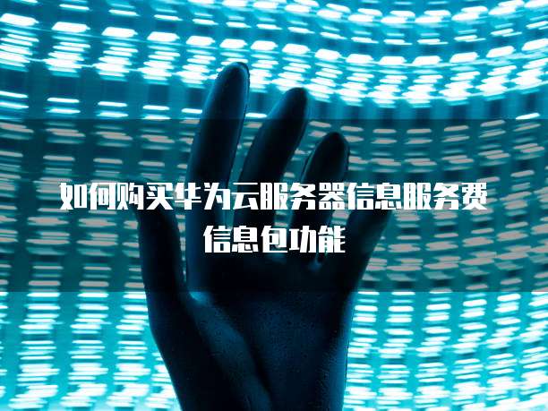 如何购买华为云服务器信息服务费信息包功能