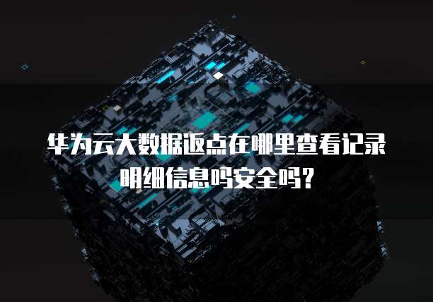 华为云大数据返点在哪里查看记录明细信息吗安全吗?
