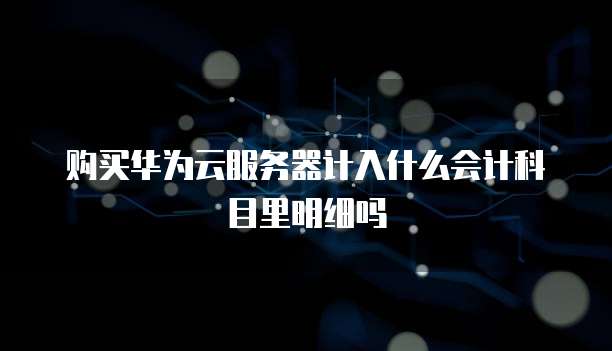 购买华为云服务器计入什么会计科目里明细吗