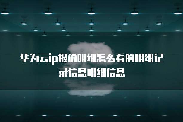 华为云ip报价明细怎么看的明细记录信息明细信息