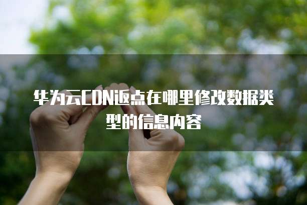 华为云CDN返点在哪里修改数据类型的信息内容