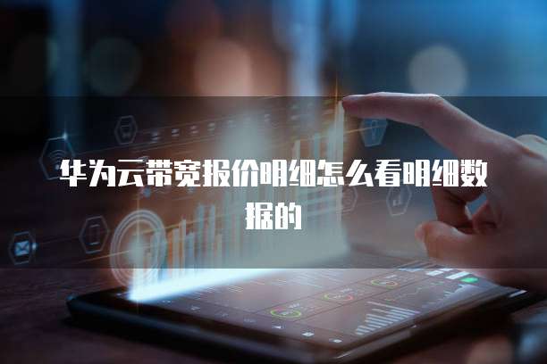 华为云带宽报价明细怎么看明细数据的