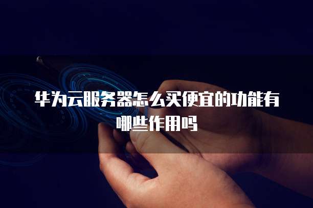 华为云服务器怎么买便宜的功能有哪些作用吗