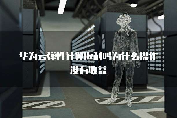 华为云弹性计算返利吗为什么操作没有收益