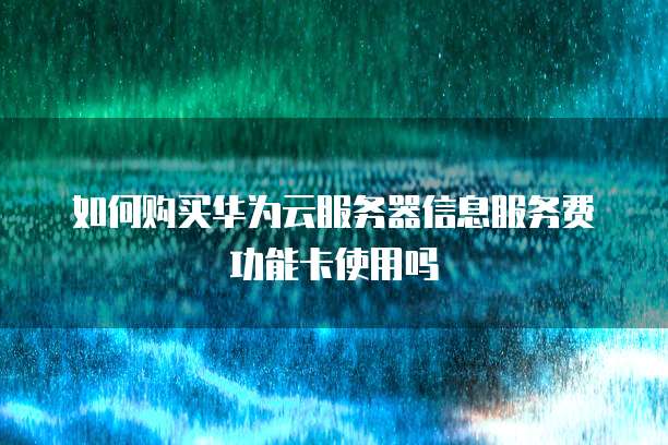 如何购买华为云服务器信息服务费功能卡使用吗