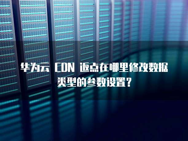 华为云 CDN 返点在哪里修改数据类型的参数设置?
