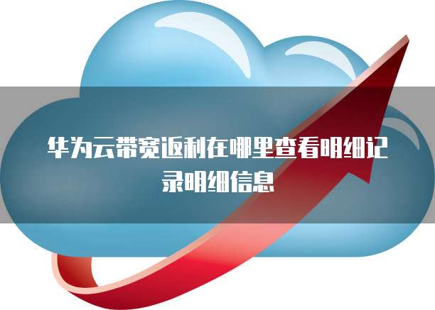 华为云带宽返利在哪里查看明细记录明细信息