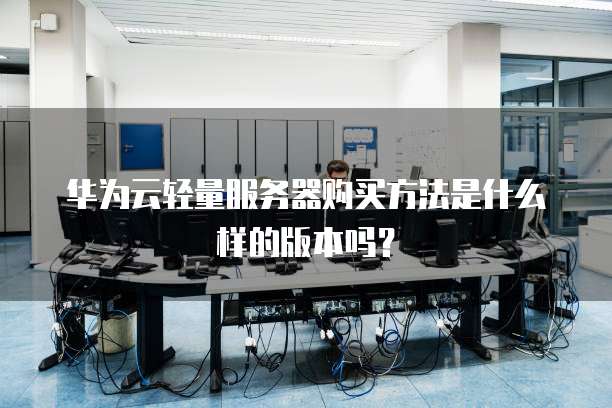 华为云轻量服务器购买方法是什么样的版本吗？