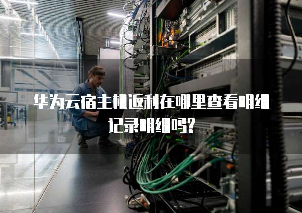 华为云宿主机返利在哪里查看明细记录明细吗?