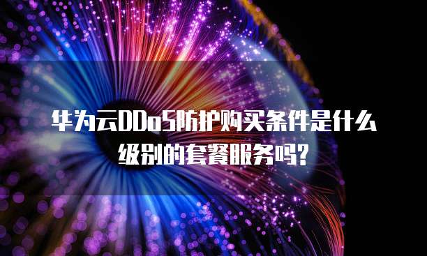 华为云DDoS防护购买条件是什么级别的套餐服务吗?