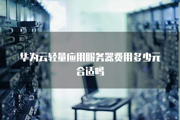 华为云轻量应用服务器费用多少元合适吗