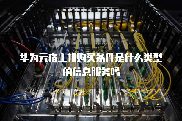 华为云宿主机购买条件是什么类型的信息服务吗