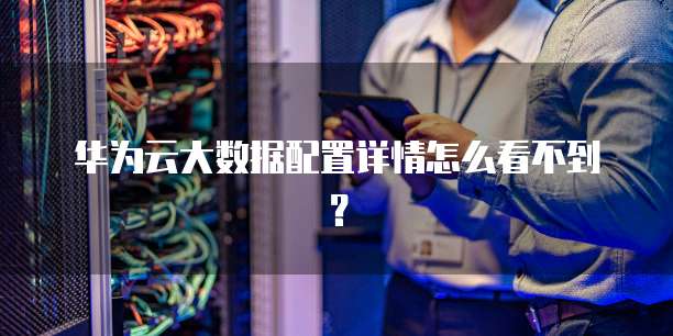 华为云大数据配置详情怎么看不到?