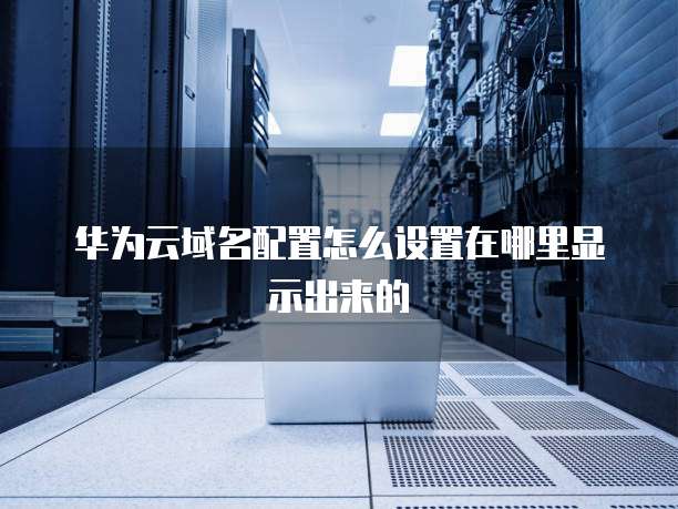 华为云域名配置怎么设置在哪里显示出来的