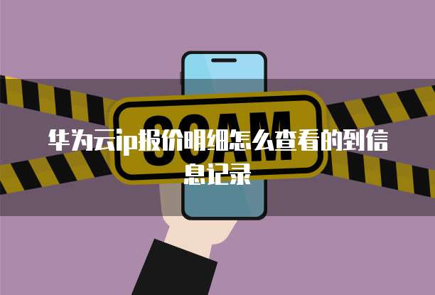 华为云ip报价明细怎么查看的到信息记录