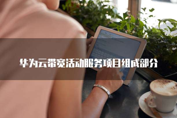 华为云带宽活动服务项目组成部分