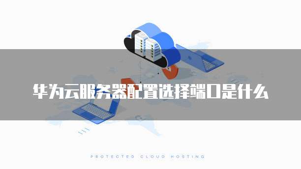 华为云服务器配置选择端口是什么