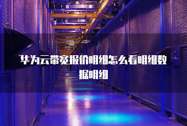 华为云带宽报价明细怎么看明细数据明细