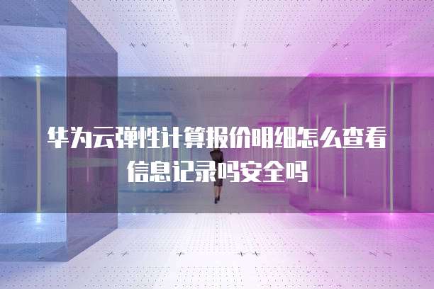 华为云弹性计算报价明细怎么查看信息记录吗安全吗