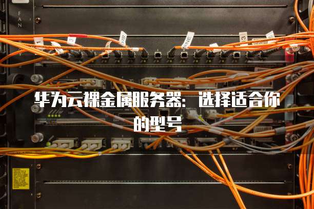 华为云裸金属服务器：选择适合你的型号