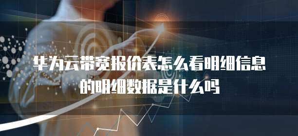 华为云带宽报价表怎么看明细信息的明细数据是什么吗