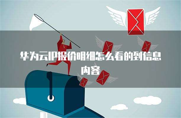 华为云IP报价明细怎么看的到信息内容