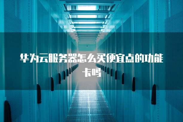 华为云服务器怎么买便宜点的功能卡吗