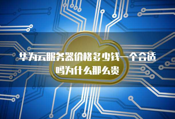华为云服务器价格多少钱一个合适吗为什么那么贵