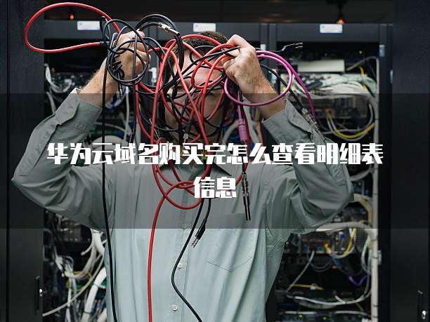 华为云域名购买完怎么查看明细表信息
