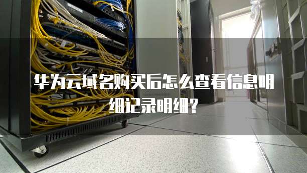 华为云域名购买后怎么查看信息明细记录明细?