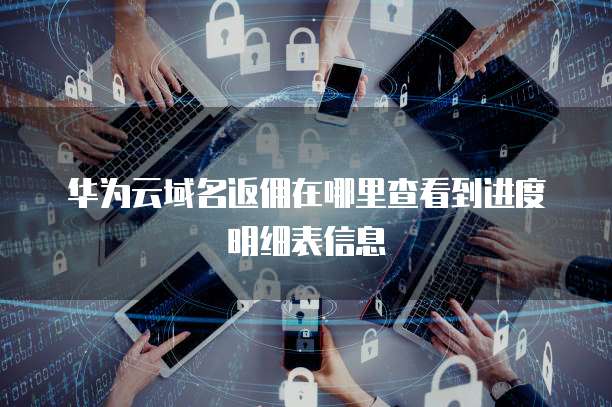 华为云域名返佣在哪里查看到进度明细表信息