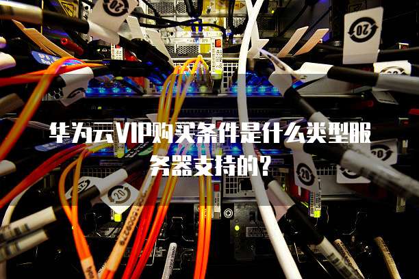 华为云VIP购买条件是什么类型服务器支持的?