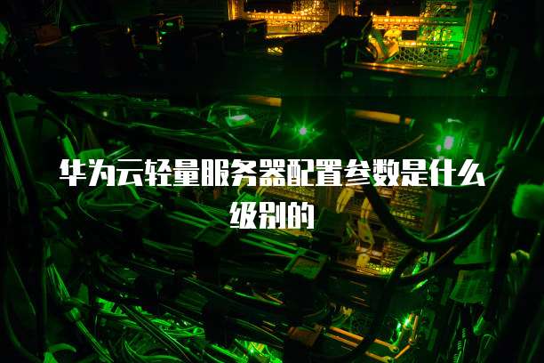 华为云轻量服务器配置参数是什么级别的