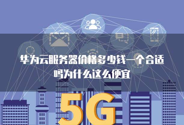 华为云服务器价格多少钱一个合适吗为什么这么便宜