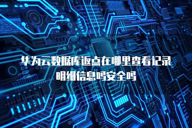 华为云数据库返点在哪里查看记录明细信息吗安全吗
