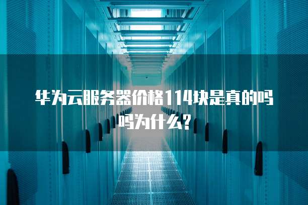华为云服务器价格114块是真的吗吗为什么?