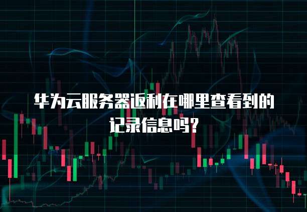 华为云服务器返利在哪里查看到的记录信息吗？