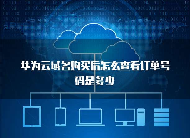 华为云域名购买后怎么查看订单号码是多少