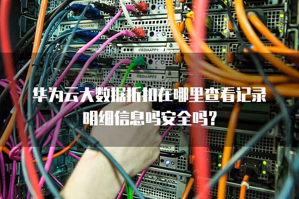 华为云大数据折扣在哪里查看记录明细信息吗安全吗?