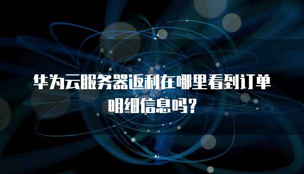 华为云服务器返利在哪里看到订单明细信息吗?