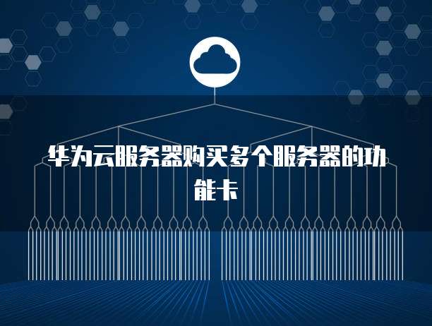 华为云服务器购买多个服务器的功能卡