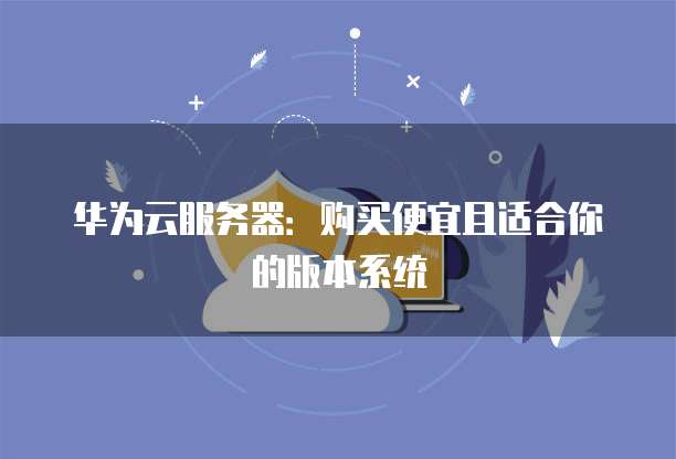 华为云服务器:购买便宜且适合你的版本系统