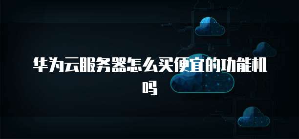 华为云服务器怎么买便宜的功能机吗