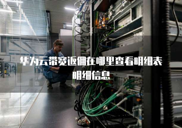 华为云带宽返佣在哪里查看明细表明细信息